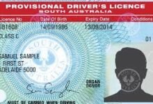 driving licence in australia