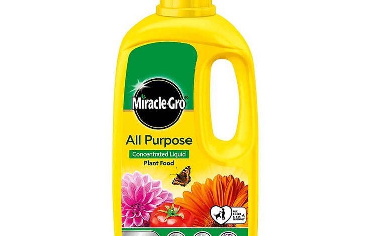 All-Purpose Plant Food