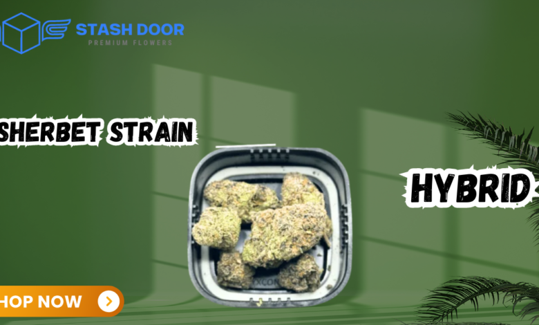 Sunset Sherbet Strain
