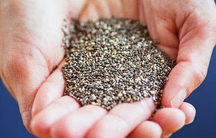 Are Chia Seed effective in treating Erectile Dysfunction?