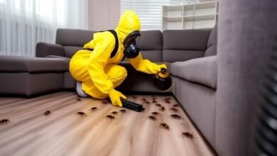 Cockroach control treatment