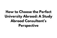 Study Abroad Consultants
