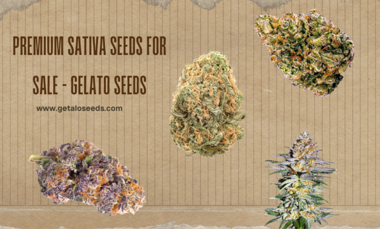 sativa seeds