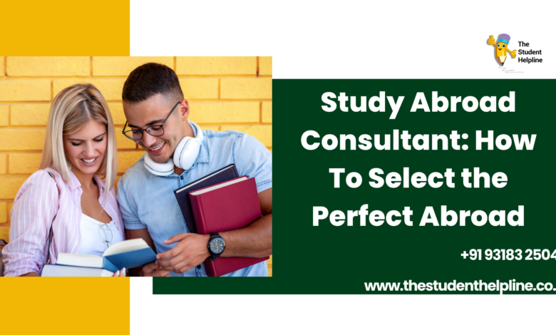 Study Abroad Consultant