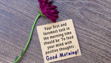 Motivational Shayari in English to Drive Your Ambitions"