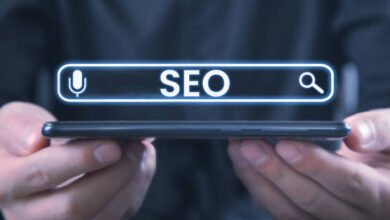 seo service in jaipur