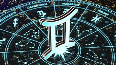 Consult Famous Astrologer Ahmedabad