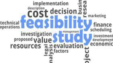 Feasibility Study Services
