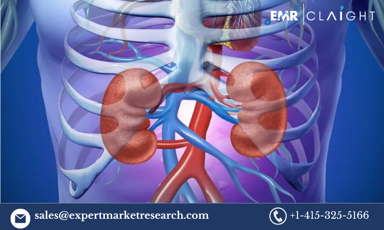 Acute Kidney Injury (AKI) Treatment Market