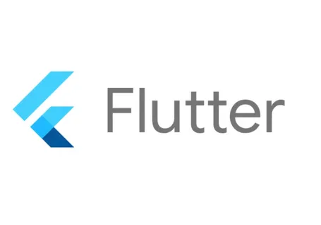 Flutter Developers