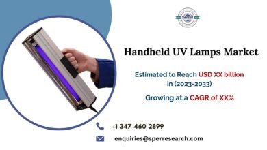 Handheld UV Lamps Market