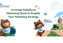 Leverage Salesforce Marketing Cloud to Amplify Your Marketing Strategy