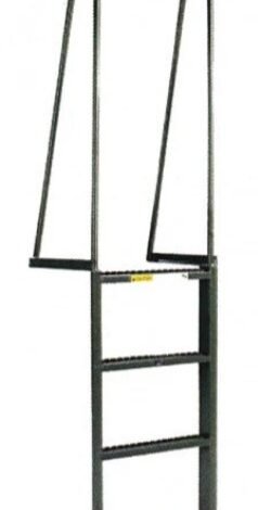 wall mount ladder