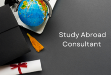 Study Abroad Consultants