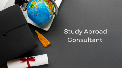 Study Abroad Consultants