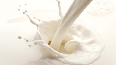 Why Whole Milk is an Essential Part of a Balanced Diet