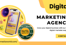 Digital marketing agencies in India Ritz Media World