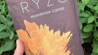 ryze mushroom coffee