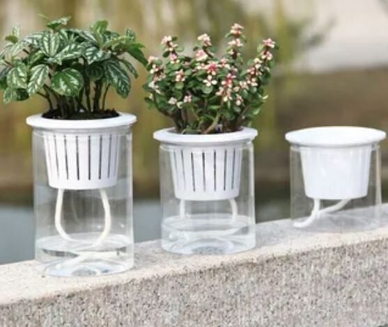 Three elegant glass vases containing various plants, showcasing a harmonious blend of nature and design.