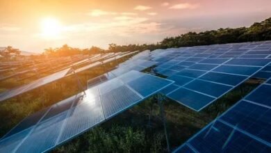 Solar panels reflecting the warm hues of a sunset in a serene field, showcasing renewable energy in harmony with nature.