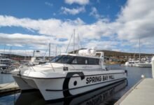 Boat Hire Milsons Point