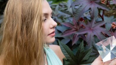 How Does Cannabis Affect the Memory and Cognition