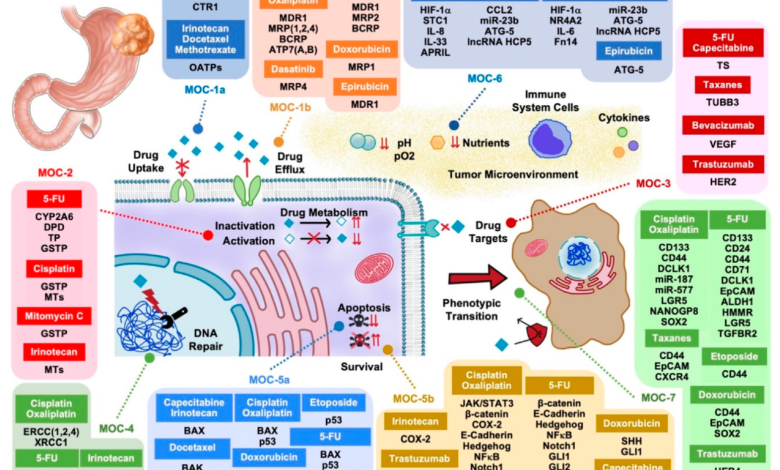 Gastric Cancer Drug Pipeline Analysis