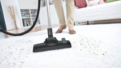 Carpet Cleaning Services