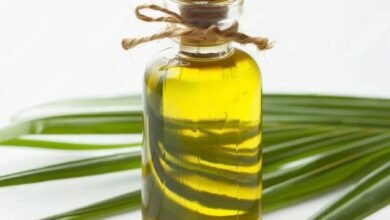 saw palmetto oil supplier