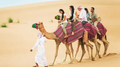 Doha desert tour