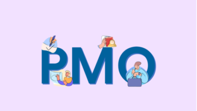 PMO Meaning Snapchat