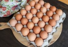 Pasture Raised Eggs