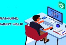 Programming Assignment Help Australia