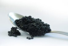 beluga caviar