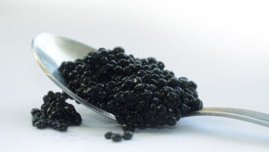 beluga caviar