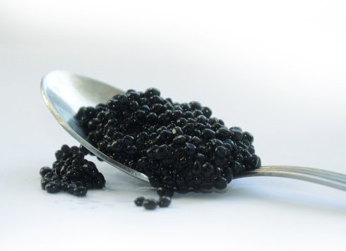 beluga caviar