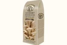 Understanding the Importance of Custom Mushroom Boxes