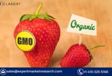 Non-GMO Food Market