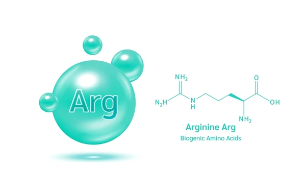 Arginine hydrochloride Supplier