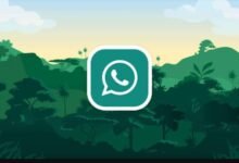 GB WhatsApp, CapCut Pro, Insta Pro, PikaShow, VidMate For Android