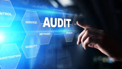 top audit firms in India