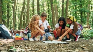 brooklyn day camps