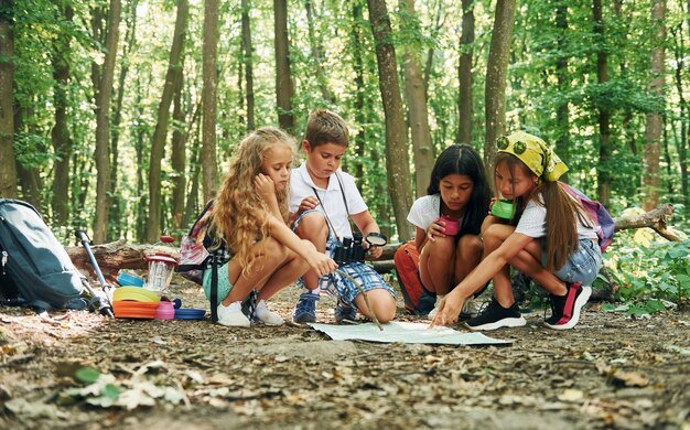 brooklyn day camps