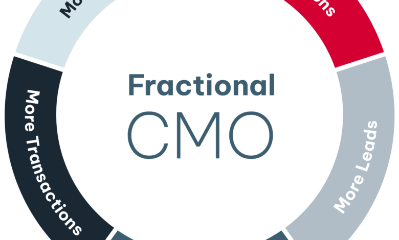 Fractional CMO Agency