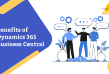 Dynamics 365 Consultants