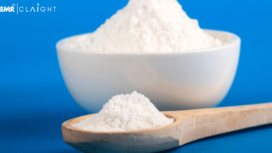Sodium Propionate Market