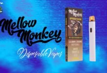Popularity Of Mellow Monkey Vapes