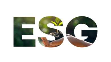 ESG-Berichterstattung