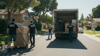 Professional Moving labor services in East Lake CA