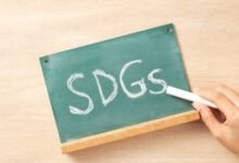 Understanding Sustainable Development Goals